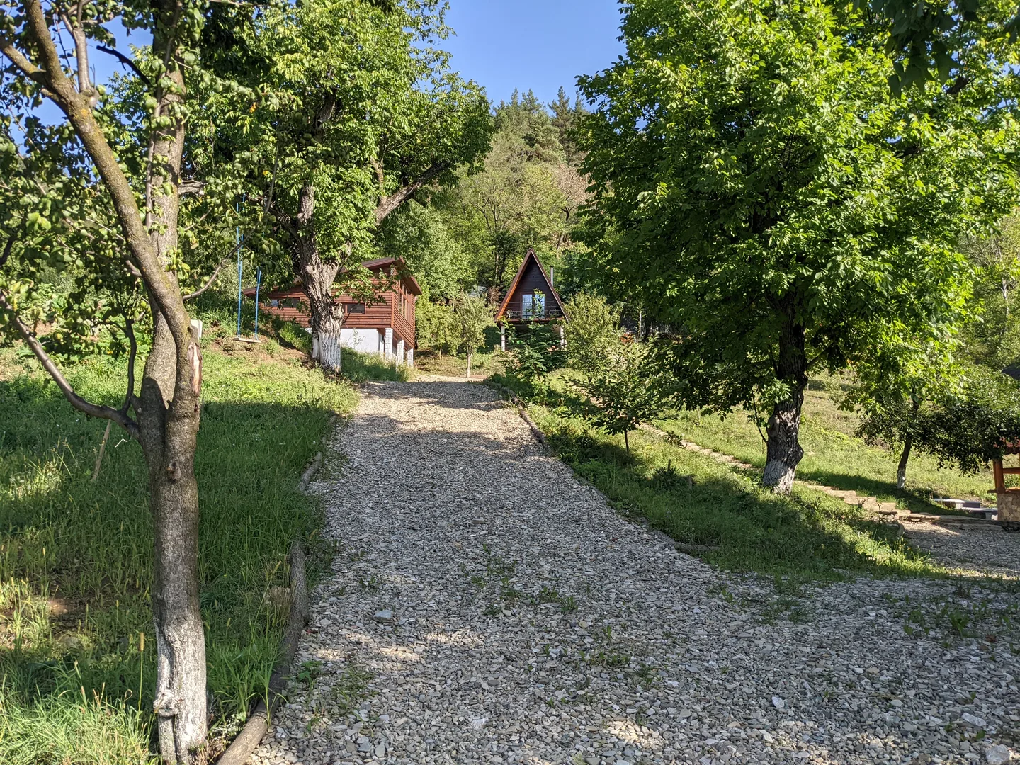 Living cu șemineu